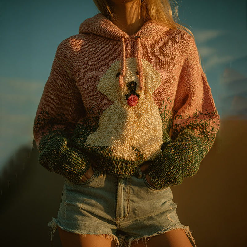 Elegantly Designed Sweater